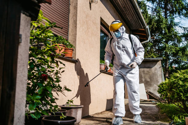 Best Local Pest Control Services  in Hudson, NY