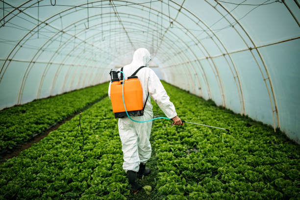 Best Affordable Pest Control Services  in Hudson, NY