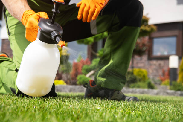Best Termite Control Services  in Hudson, NY