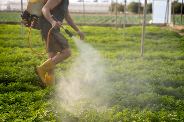 Best Pest Prevention Services  in Hudson, NY