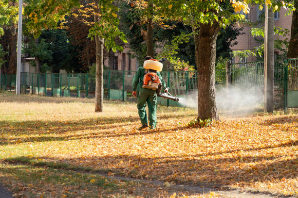 Best Residential Pest Control  in Hudson, NY