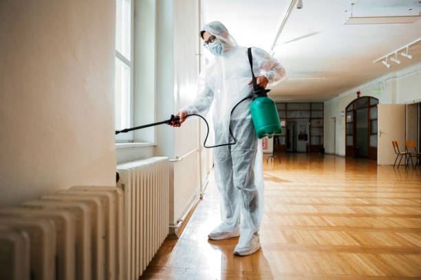 Best Flea Control Services  in Hudson, NY