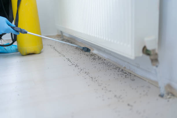 Best Pest Removal Services  in Hudson, NY