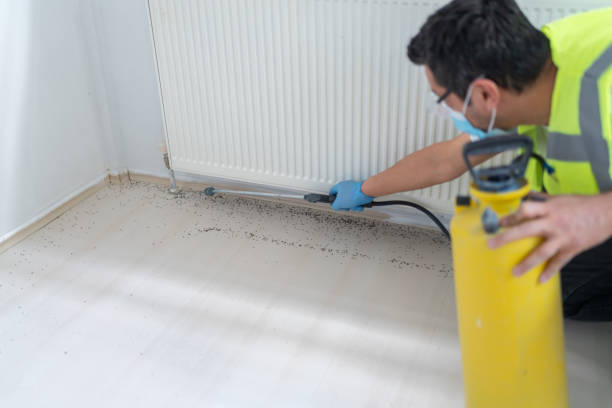 Best Ant Control Services  in Hudson, NY