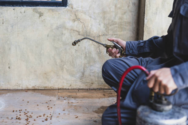 Best Mosquito Control Services  in Hudson, NY